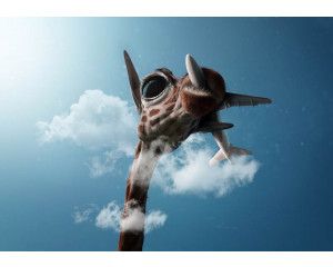 Fotobehang van een giraffe, luchtvervuiling, en een vliegtuig in de wolken, surrealistisch beeld.