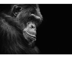 Universum en planeten op space fotobehang, indrukwekkend en futuristisch.