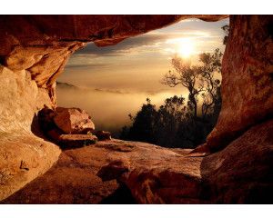 Uitzicht op een mistig bos vanuit een grot, met 3D-effecten voor diepte en sfeer.