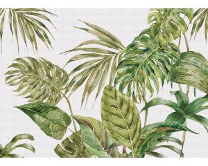 Een fotobehang met grote groene bladeren, waarbij weelderige tropische bladeren in diepe groentinten een levendige en natuurlijke uitstraling geven.