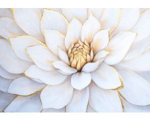 Fotobehang Grote Witte Bloem met Luxe Gouden Details