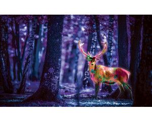 Fluorescerend hert in een bos op fotobehang, in paars.