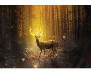 Fotobehang van een hert in de brandende zon, bos en sprookjesachtige sfeer.