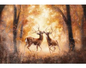 Fotobehang van herten in het bos, met een natuurlijke en serene sfeer.