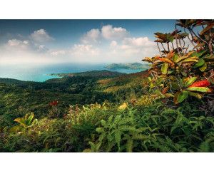 Hof van Eden uitzicht landschap Praslin fotobehang, met een tropisch paradijs.