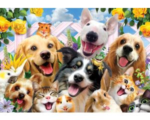 Honden en katten dolle beestenboel, grappig fotobehang met een speelse en humoristische sfeer.