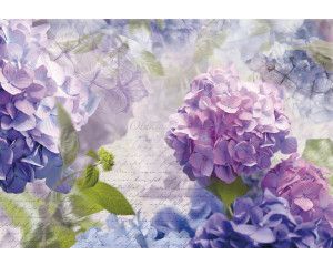 Hortensia Otaksa bloemen, subtiel en kunstzinnig verwerkt in dit abstracte fotobehang.