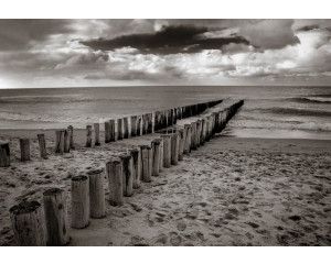 Fotobehang van houten paaltjes die in het zand van het strand zijn geplaatst, met een zwart-wit weergave van de zee.