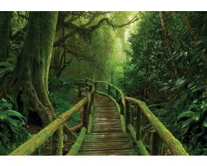 Brug die door de jungle loopt in een weelderig regenwoud, perfect vastgelegd op dit natuur fotobehang.