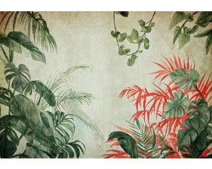 Fotobehang van jungleplanten op beton, met een botanische en moderne twist.