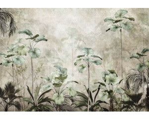 Fotobehang van prachtige jungle planten voor een betonnen muur.