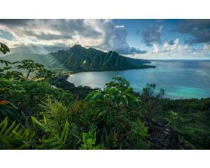 Fotobehang van Jurassic Island met een indrukwekkend uitzicht op bergen en weelderige natuur, ideaal voor avontuurlijke kamers.