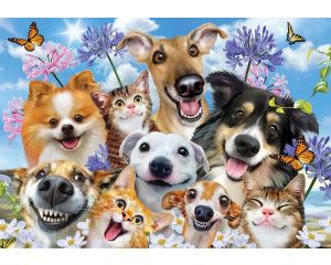 Grappige honden en katten die met elkaar op een fotobehang staan.