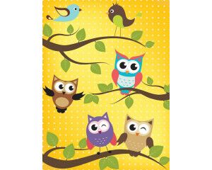 Fotobehang voor kinderkamers met uiltjes en vogels, kleurrijk en speels.