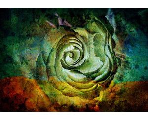 Kleurrijke roos in kunstzinnige schilderstijl op fotobehang.