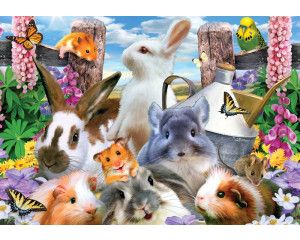 Hamsters en marmotten in een dolle beestenboel, fotobehang met knaagdieren voor een vrolijke uitstraling.