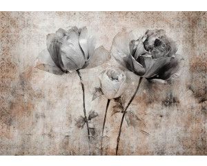 Kunstig fotobehang van rozen tegen een betonnen achtergrond, met een elegant bloemenontwerp.