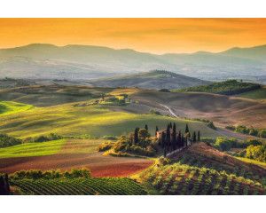 Fotobehang van een Toscaans landschap in Italië, waar wijngaarden en bergen het serene uitzicht domineren.