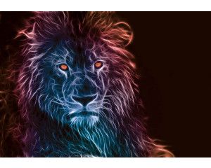 Fotobehang van leeuwen in abstracte kunststijl, dynamisch en kleurrijk.