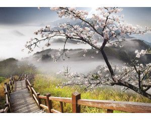 Fotobehang lente landschap met bergen en bomen, rustgevend natuurtoneel.