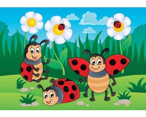 Fotobehang met lieveheersbeestjes op bloemen, ontworpen voor babykamers en peuterkamers.