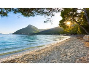 Lonely Paradise Caribische zee strand fotobehang, met een rustig strand.