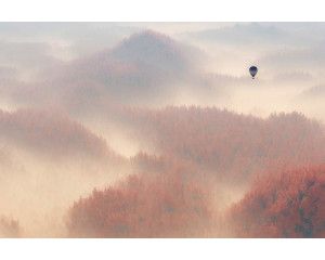 Fotobehang van een luchtballon die boven een mistig bos zweeft, met bomen die in de nevel verdwijnen.