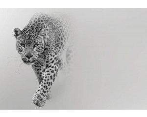 Fotobehang van een luipaard, met levensechte kleuren en gedetailleerde vachtweergave.