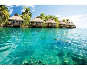 Malediven, tropisch weergegeven op een fotobehang met zee, zon en strand voor een zomerse sfeer.