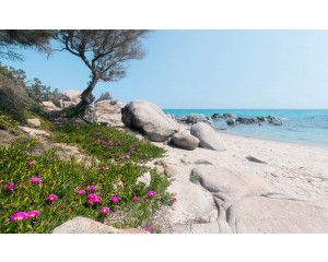 Mediterrane dromen strand fotobehang, perfect voor een tropische sfeer.