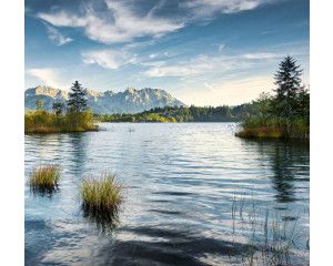 Meer Barmsee fotobehang, met een prachtig uitzicht over de Alpen en een meer.