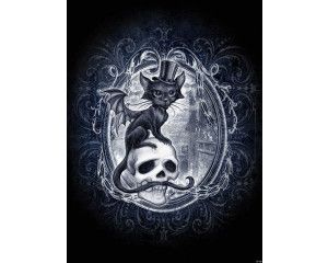Fotobehang van Meowstopheles de vampierkat, mysterieus en duister.