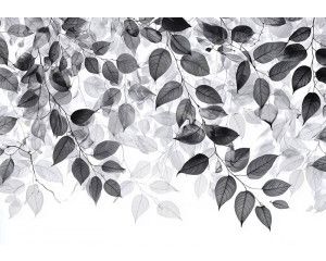 Fotobehang met tropische bladeren in groene tinten tegen een lichte achtergrond.