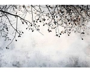 Fotobehang met minimalistische takken in fijne lijnen en zachte natuurlijke tinten op een grijze achtergrond.