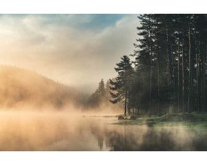 Fotobehang van mist die boven een meer hangt, omringd door bergen en bossen, met een serene en rustige sfeer.