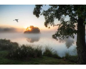 Fotobehang van mist die boven een meer hangt, met een rustgevend en sereen landschap van bomen en water.