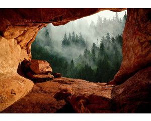 Fotobehang van een mistig bos, gezien vanuit een grot met een mysterieuze sfeer.