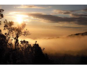 Mistig landschap met bomen en wolken, fotobehang met een rustgevende natuurweergave.