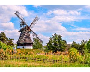 Fotobehang Strand met Duinen en Zee met uitzicht over zand, helmgras en glinsterende golven.