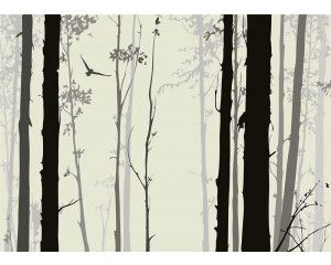 Fotobehang Mystiek Bos