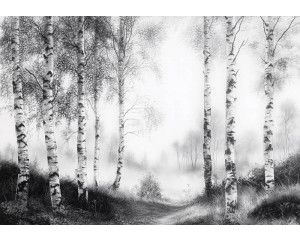 Fotobehang met een nevelig berkenbos waar de witte stammen deels verdwijnen in de mistige achtergrond.
