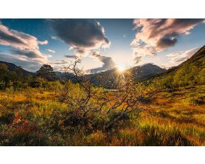 Noorse herfstwereld Eresfjorden landschap fotobehang, met een adembenemend uitzicht in Noorwegen.