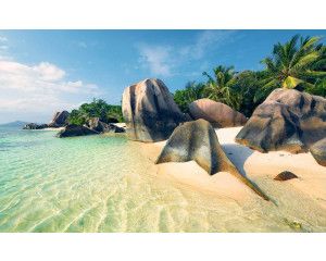 Oceaan parel palmbomen strand fotobehang, ideaal voor een tropische kamer.