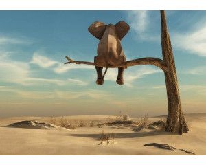 Olifant onder een boom in een uitgestrekt woestijnlandschap, met gedetailleerde schaduwen en texturen op dit fotobehang.