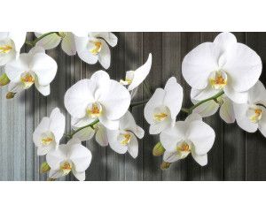Fotobehang van orchideeën op een houten achtergrond, ideaal voor een rustieke natuurlijke sfeer.