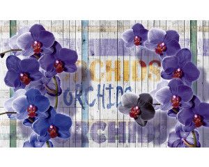 Fotobehang van orchideeën op een houten achtergrond, delicate bloemen in volle bloei.