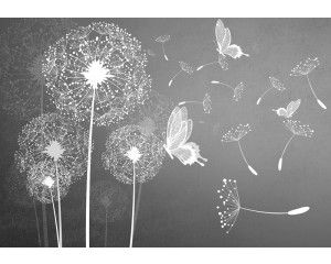 Paardenbloemen en vlinders, natuur en abstractie gecombineerd op een zwart-wit fotobehang.