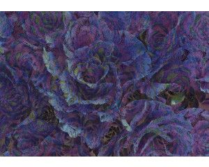 Paarse roos in een schilderkunstige stijl op fotobehang.