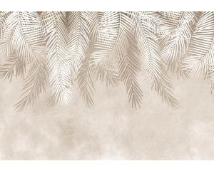 Fotobehang van palmbladeren, in een tropische en ontspannende setting.