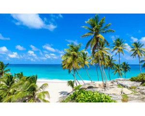 Fotobehang van palmbomen die de kustlijn sieren, terwijl de zee zachtjes het strand raakt.